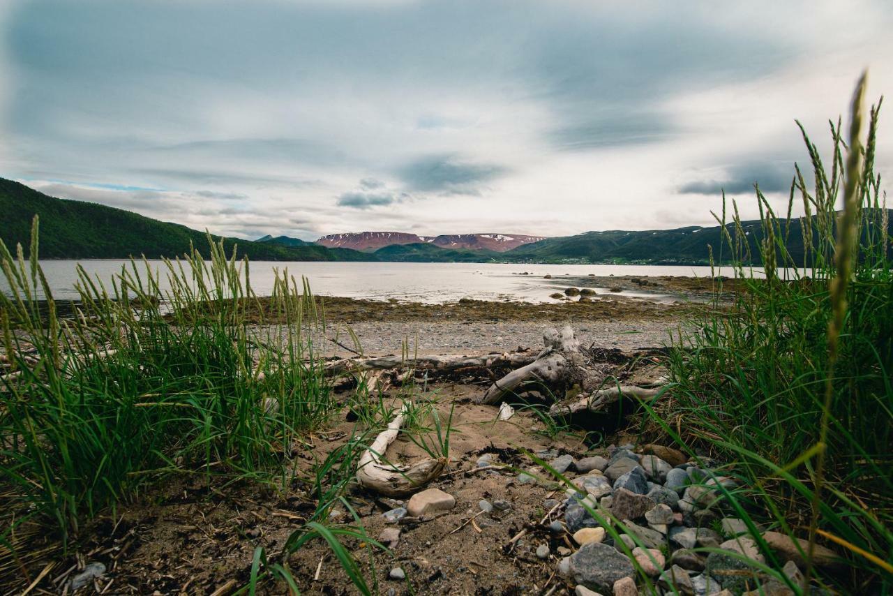 Out East B&B Norris Point Экстерьер фото